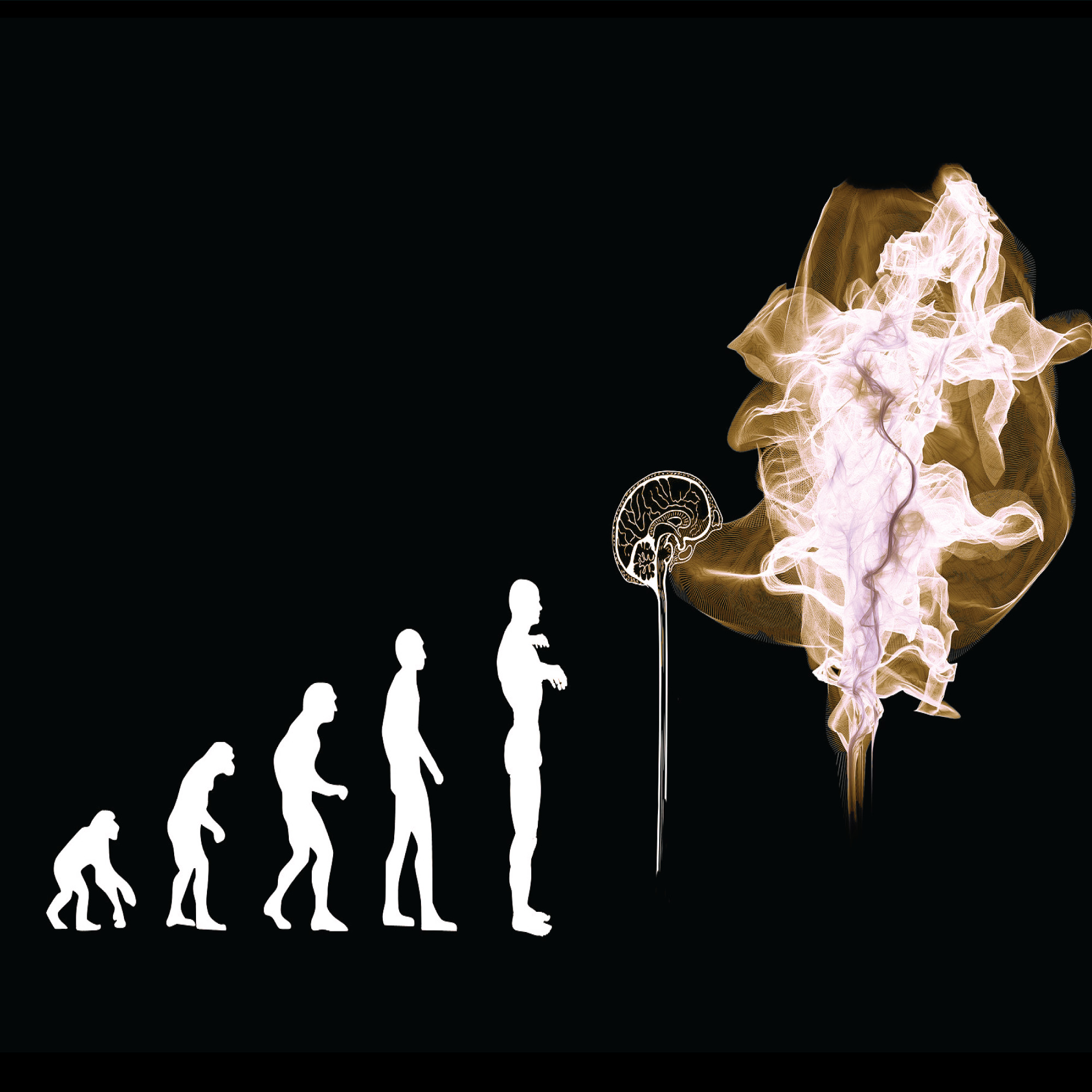 Evolution von HR